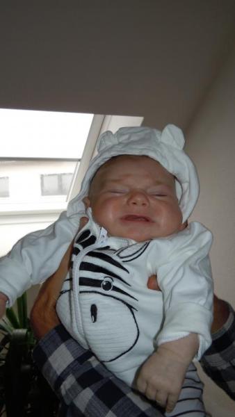 Bild zu