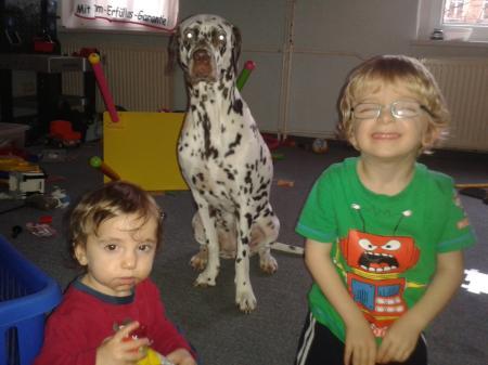 Bild zu