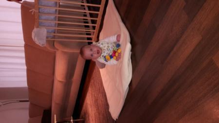 Bild zu 