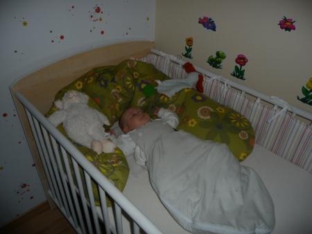 Bild zu 