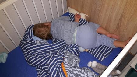 Bild zu
