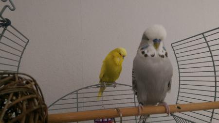 Bild zu 
