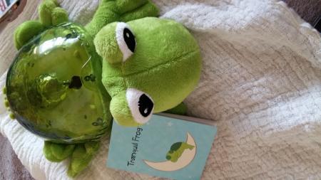 Bild zu TRANQUIL FROG - Forum für Juli - Mamis