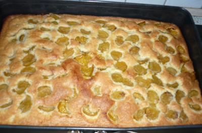 Bild zu Kuchen in die Runde stell - Forum für Juli - Mamis