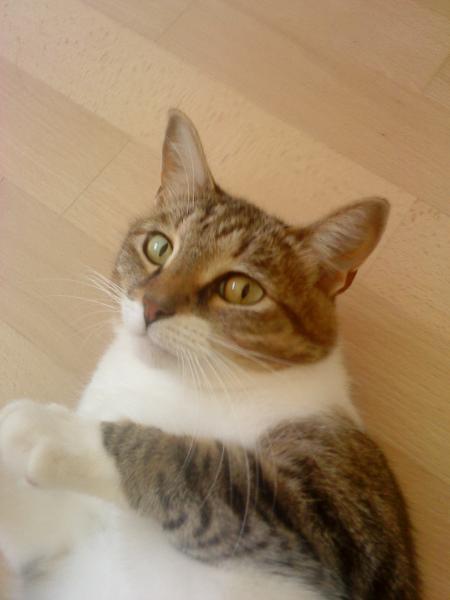 Bild zu 
