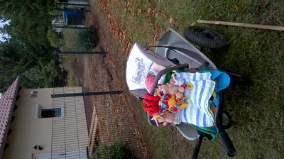 Bild zu Gartenarbeit mal anders! - Forum für Juli - Mamis
