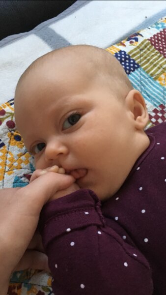 Bild zu