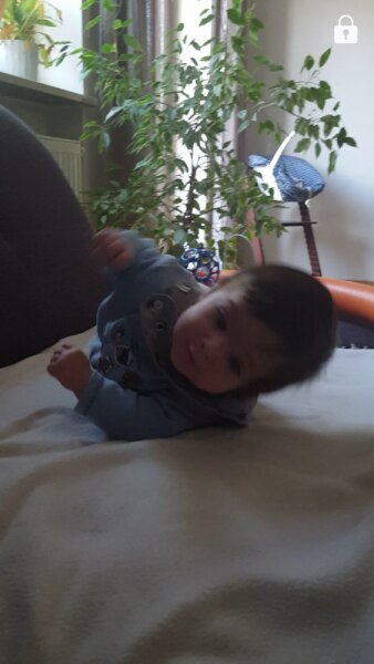 Bild zu