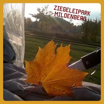 Bild zu Mein kleines Kakerinchen... - Forum für Juli - Mamis