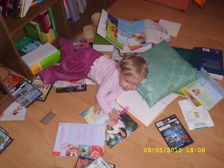 Bild zu