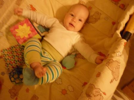 Bild zu