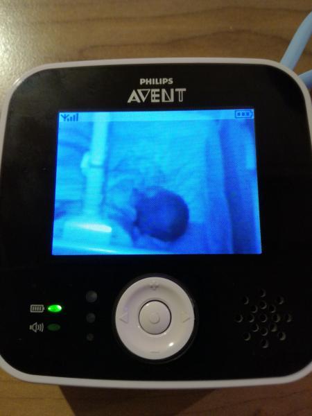 Bild zu Projekt: Eigenes Bett - Forum für Juli - Mamis