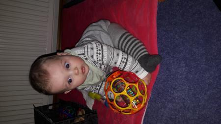Bild zu