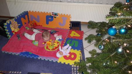 Bild zu