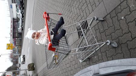Bild zu 