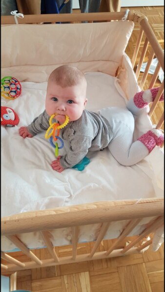 Bild zu 