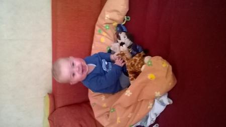Bild zu 