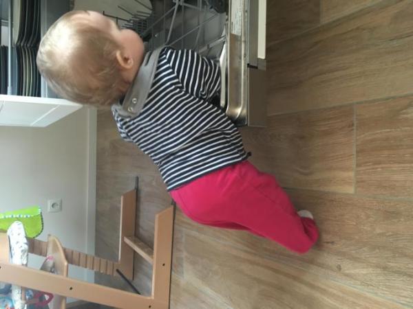Bild zu
