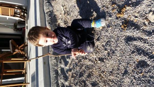 Bild zu 