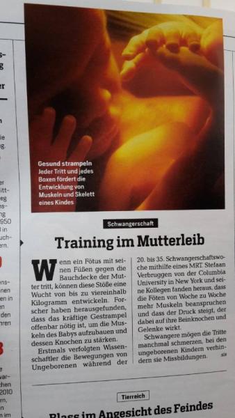 Bild zu 