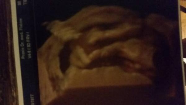 Bild zu 