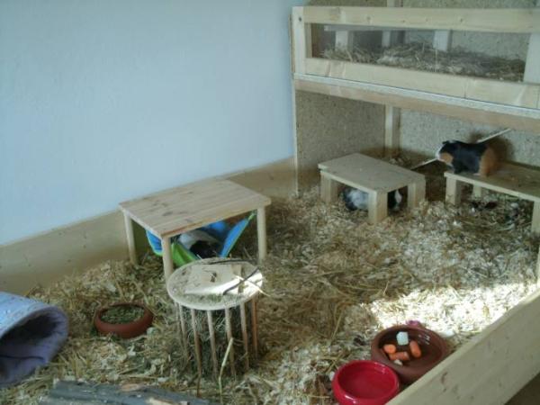 Bild zu 