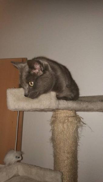 Bild zu 