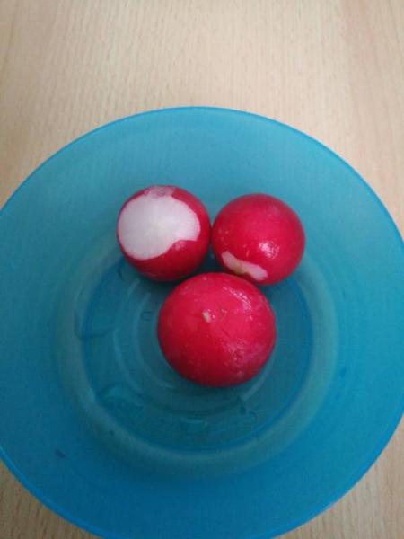 Bild zu 