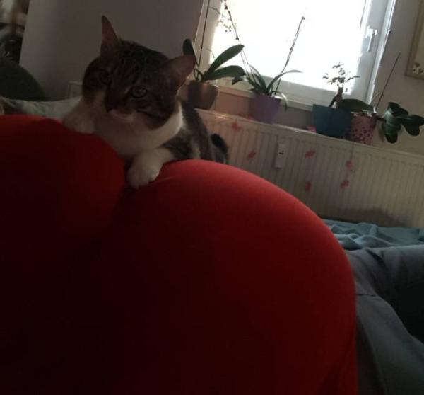 Bild zu 