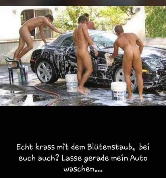 Bild zu Abreisskalender - Forum für Juli - Mamis