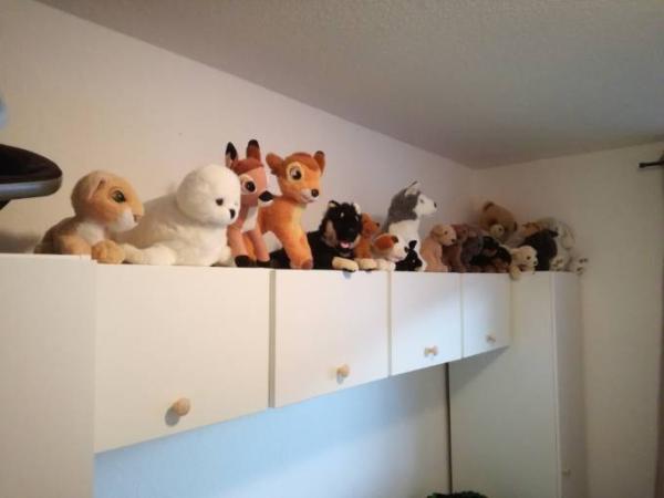 Bild zu 