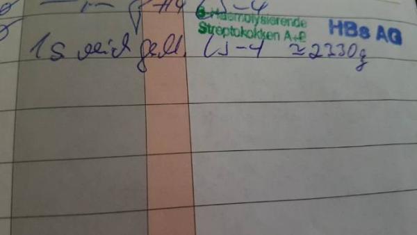 Bild zu Nochmal ich - Mutterpass - Forum für Juli - Mamis