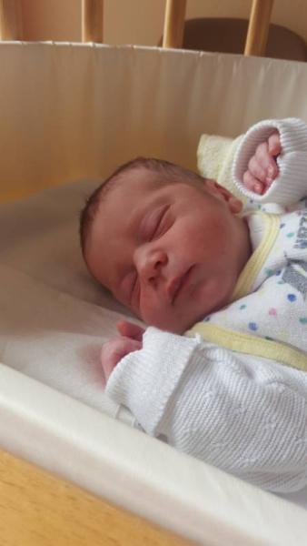 Bild zu Baby ist da - Forum für Juli - Mamis