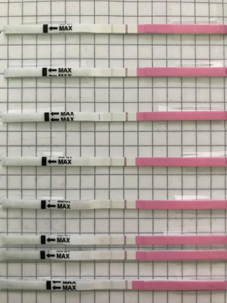 Bild zu Beim Ovulationstest immer eine 2. Linie - Forum für Juli - Mamis