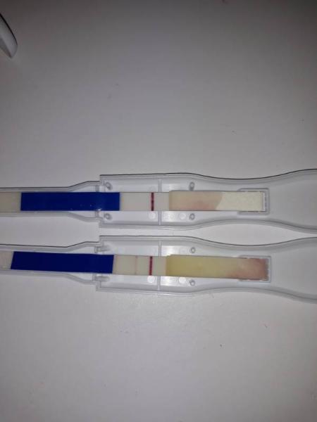 Bild zu Welchem test soll ich nun glauben - Forum für Juli - Mamis