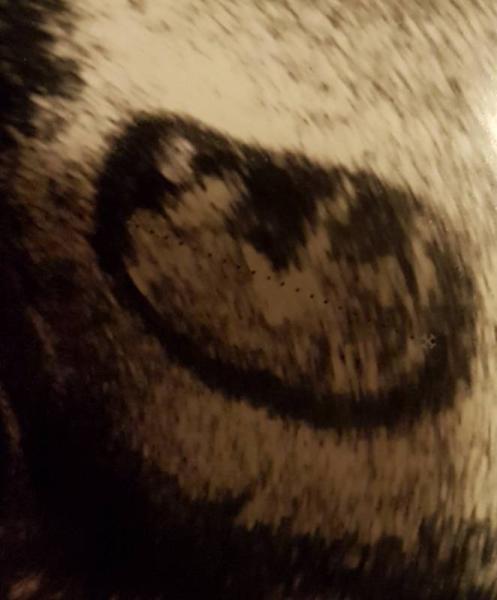 Bild zu Glücklich vom FA zurück - Forum für Juli - Mamis
