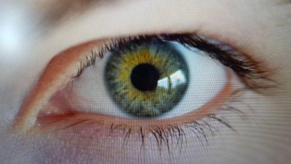 Bild zu 
