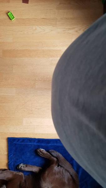Bild zu 