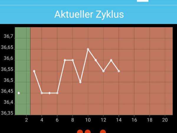 Bild zu Temperaturkurve--Was bedeutet das denn? - Forum für Juli - Mamis