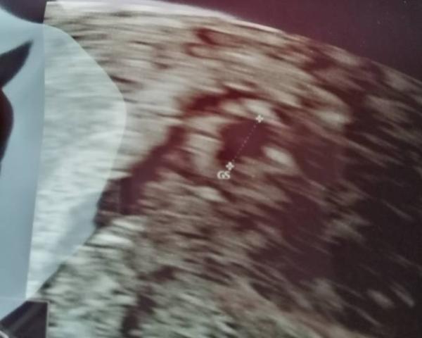 Bild zu 5+1 - Forum für Juli - Mamis