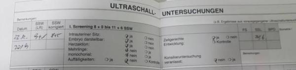 Bild zu Es wächst 😊 - Forum für Juli - Mamis