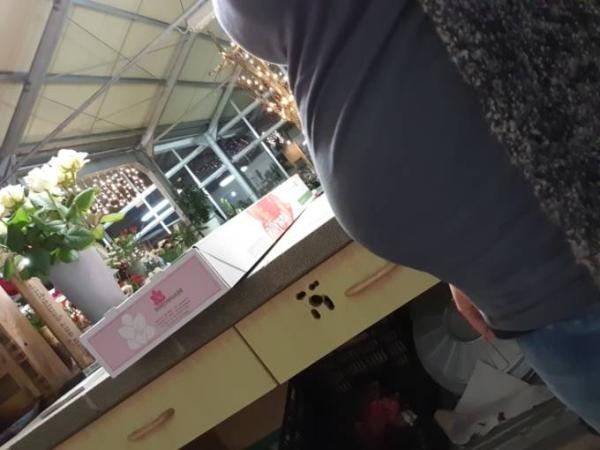 Bild zu Murmelmontag :) - Forum für Juli - Mamis