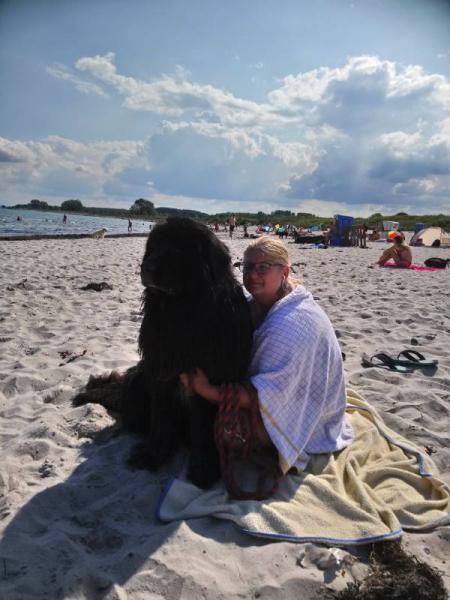 Bild zu 
