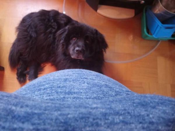 Bild zu 