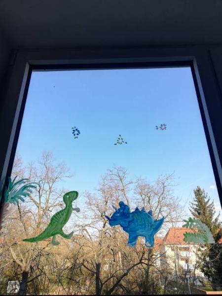 Bild zu 