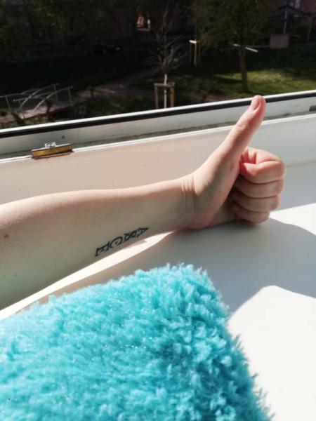 Bild zu 