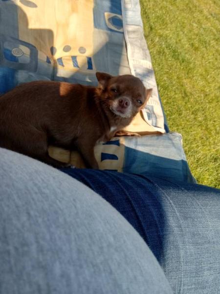 Bild zu 