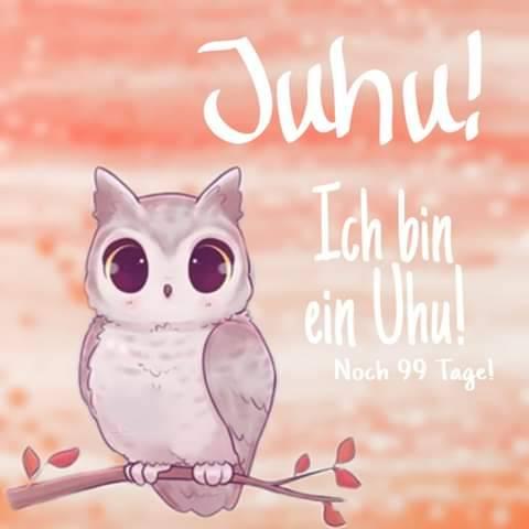 Bild zu Ich bin ein Uhu 🦉 - Forum für Juli - Mamis