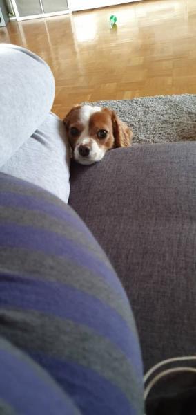 Bild zu 