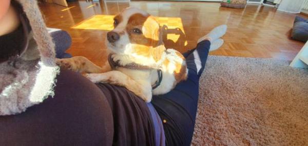 Bild zu 
